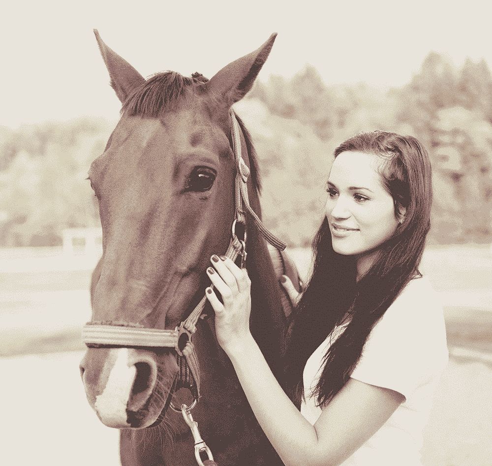 Discover The Beauty Of Country Horse Riding Ter Aarse Kringloop